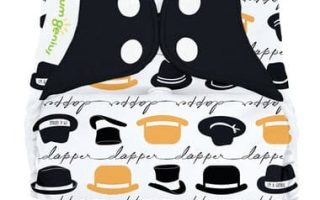 bumgenius, chaplin, cloth diapers