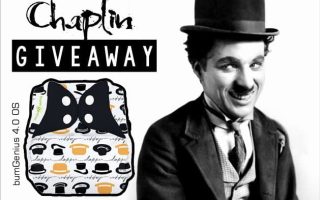 bumgenius chaplin cloth diaper