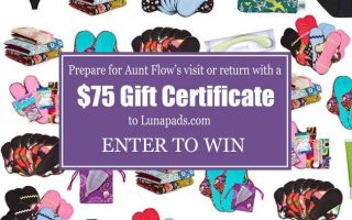 lunapads, cloth pads, reusable menstrual products