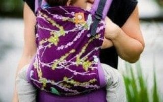 tula carrier