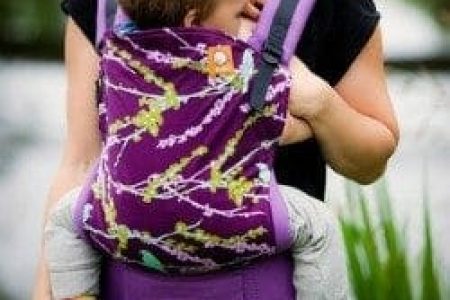 tula carrier