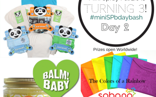 spray pal, giveaway