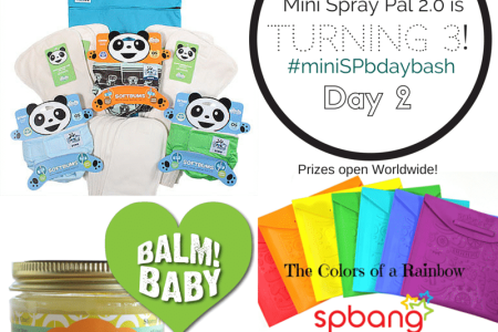 spray pal, giveaway