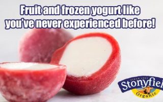 yogurt peals blog post
