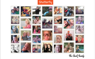 stonyfield, shutterfly