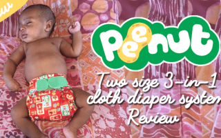 peenut cloth diaper system