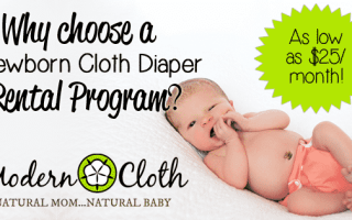 newborn cloth diaper rental