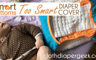 smartbottoms diaper cover