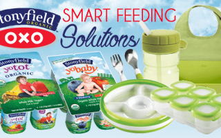 stonyfield yogurt, feeding gear