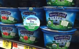 stonyfield yogurt