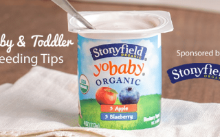 baby and toddler feeding tips