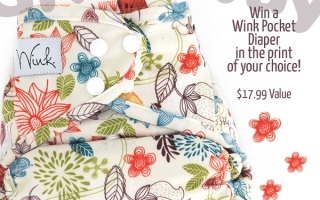 giveaway, cloth diaper contest
