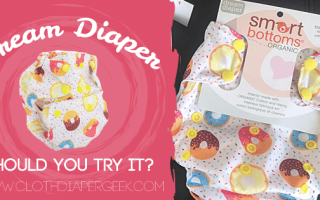 smart bottoms dream diaper review