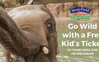 free zoo tickets, #stonyfieldblogger