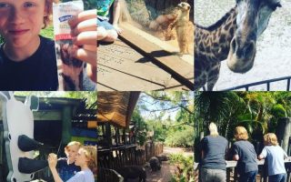 stonyfield, aza, brevard zoo