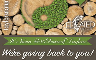 taylor's event